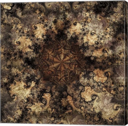 Framed Metamorphic Print