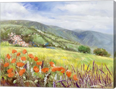 Framed Blooming Poppy 1 Print