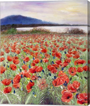Framed Blooming Poppy 2 Print