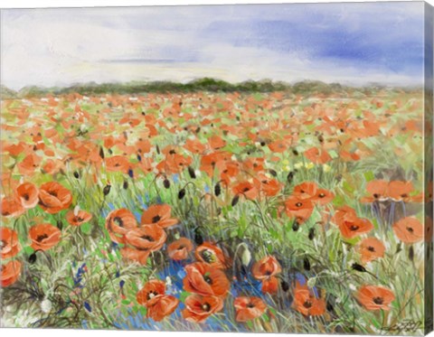 Framed Blooming Poppy 3 Print