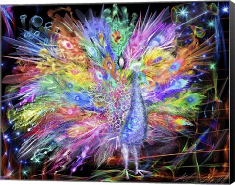 Framed Peacock Nexsus Print