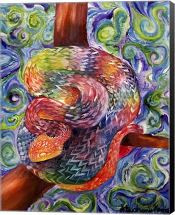 Framed Rainbow Snake Print