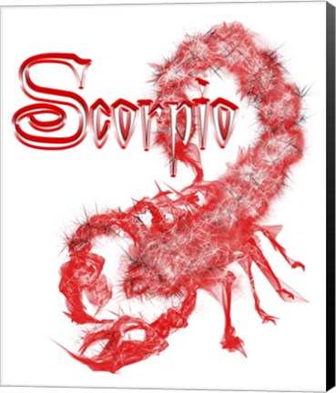 Framed Scorpio Print