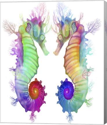 Framed Two Seahorse Print