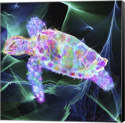 Framed Turtle 1 Print