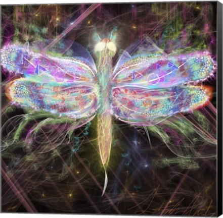 Framed Dragonfly Latern Print