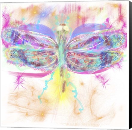 Framed Dragonfly Print