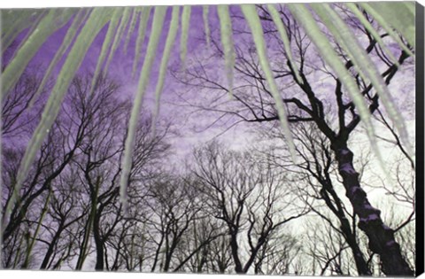 Framed Iceicles Print