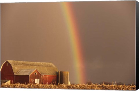 Framed Rainbow Print