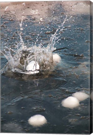 Framed Snowball Print