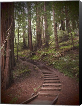 Framed Staircase Print
