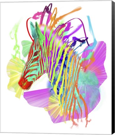 Framed Zebra Head 1 Print