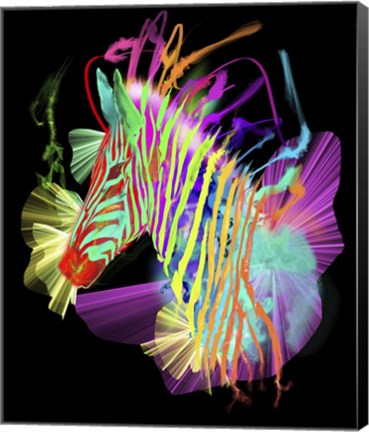 Framed Zebra Head 2 Print