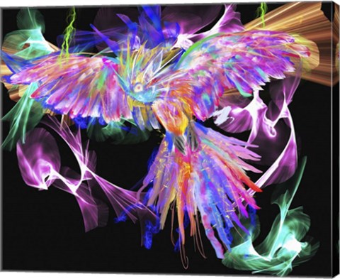 Framed Parrot Black Print