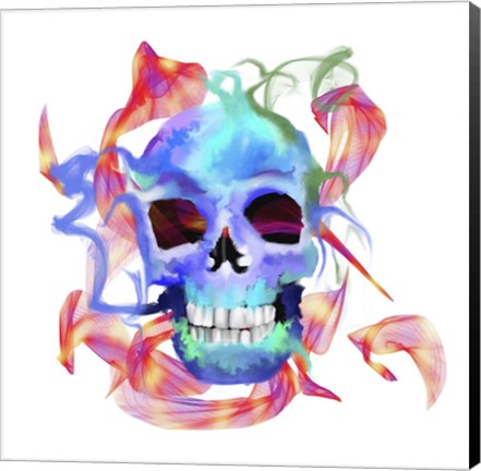Framed Skull Print