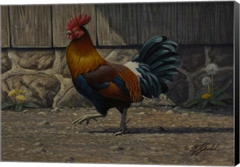 Framed Barnyard Strut - Bantam Rooster Print