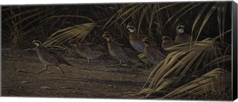 Framed Breaking Cover - Bobwhites Print