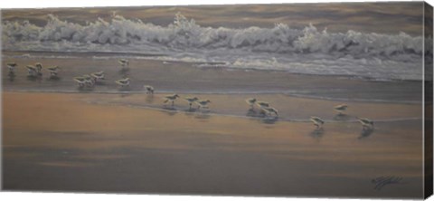 Framed Morning Surf And Sanderlings Print