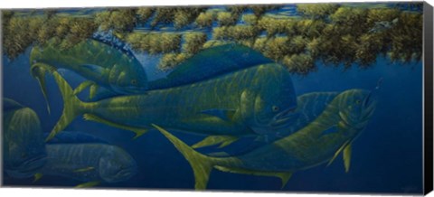 Framed Opalescence Print