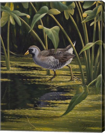 Framed Sora Rail Print