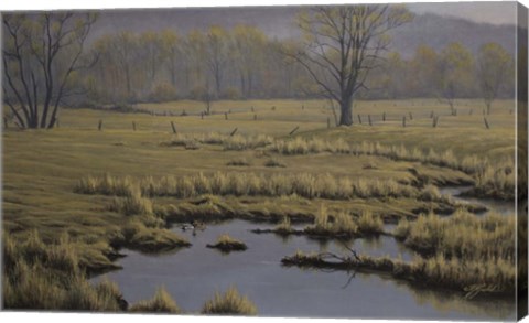 Framed Spring Pasture - Mallard Pair Print