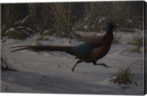 Framed Strauch Pheasant Print