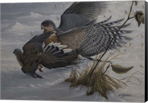 Framed Sudden Impact Print