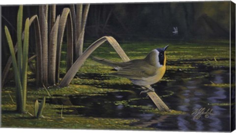 Framed Yellow-Throat Print