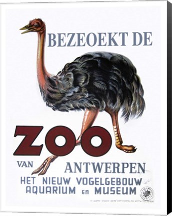 Framed Bezeoekt de Zoo Print