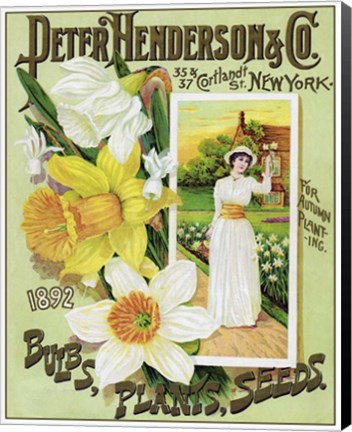 Framed Seeds 1 Print