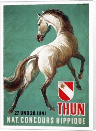 Framed Nat. Concours Hippique Print