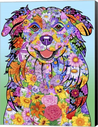 Framed Flowers Australian Shepherd Print