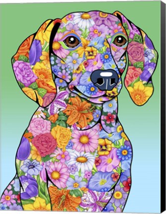Framed Flowers Dachshund Print