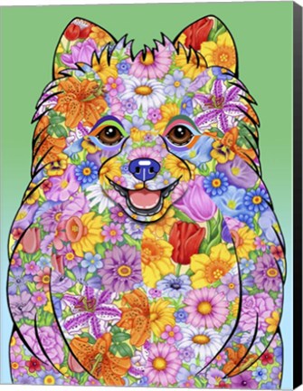 Framed Flowers Pomeranian Print