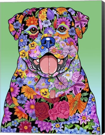 Framed Flowers Rottweiler Print