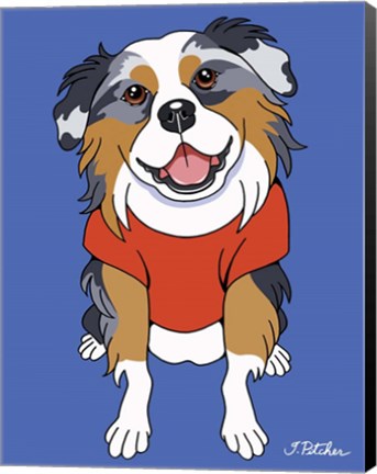 Framed Australian Shepherd Print