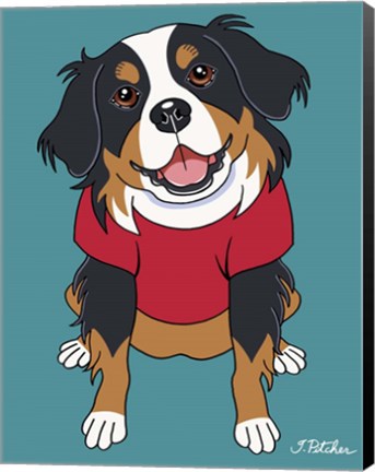 Framed Bernese Mountain Dog Print