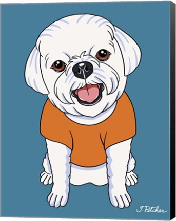 Framed Bichon Puppy Cut Print