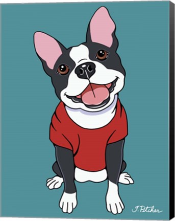 Framed Boston Terrier Black Print