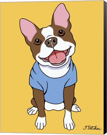 Framed Boston Terrier Seal Print