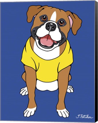 Framed Boxer Print