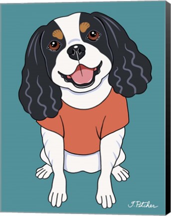 Framed Cavalier Tri Color Print