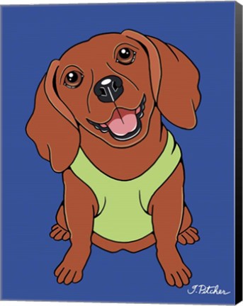 Framed Dachshund Red Print