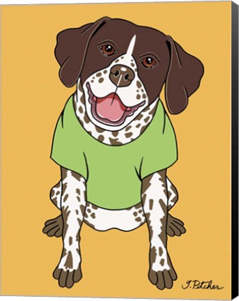 Framed German Pointer Print