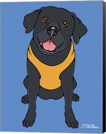 Framed Labrador Black Print