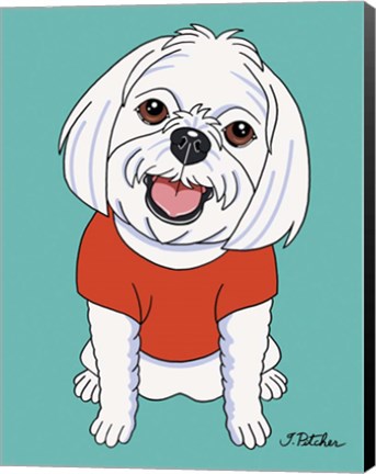 Framed Maltese Print