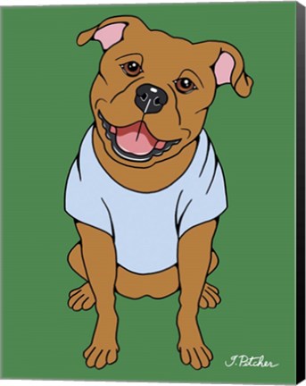 Framed Pitbull Print