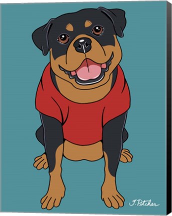 Framed Rottweiler Print