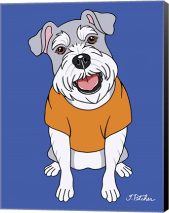 Framed Schnauzer Print