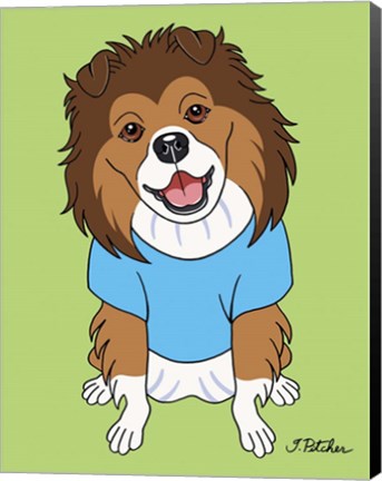 Framed Shetland Sheepdog Print